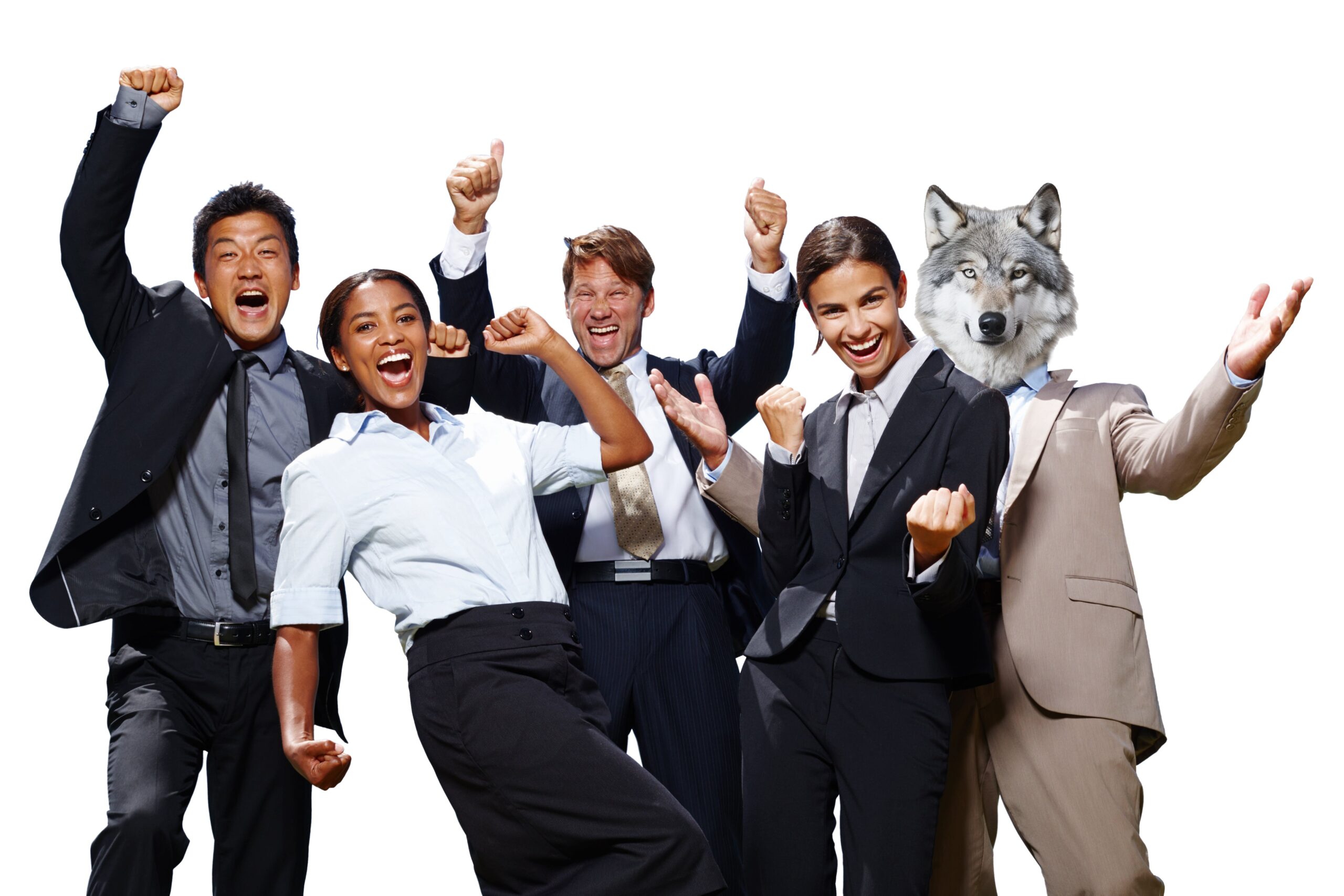 Wolf-Team Wolf-Team